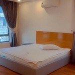 Cho thuê nguyên căn biệt thự tại khu mê linh - anh dũng phù hợp với chuyên gia, kỹ sư