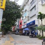 Chính chủ cần bán gấp nhà mặt phố nguyễn khánh toàn 56m2 vỉa hè rộng kinh doanh sầm uất giá 34 tỷ