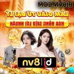 Bj88 - làm giàu từ đại lý hoa hồng siêu lợi nhuận - bj8vn.com