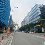 Cho thuê mặt bằng 1300m2 building hạng b tại cát linh đống đa có tách nhỏ từ 150m2 làm mọi mô hình