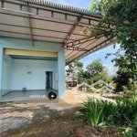 Cho con du học chủ cần bán gấp nền thổ cư dầu giây giá tốt chỉ 695tr/100m2 , ngân hàng hỗ trợ 50%