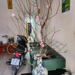Chính chủ 7tr/th nhà mặt tiền phố tư đình long biên