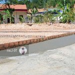 Duy nhất một lô xã liên xuân thủy nguyên hải phòng