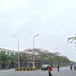 Kđt vsip từ sơn, quỹ chuyển nhượng giá tốt nhất t2/2025. giá từ 5x tr/m. giáp long biên, gia lâm.