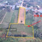 Bán 4000 m2 (400 thổ cư) làm nhà vườn quá đẹp tại ba vì giá chỉ 4,x tỷ
- diện tích trong sổ 1448 m2
