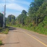 Bán 13000m2 đất trồng sầu riêng đang cho thu hoạch phường xuân lập, tp long khánh, đồng nai