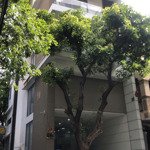 Bán tòa nhà 3 mặt tiền hoa cau, p. 7, q. phú nhuận hầm + 6 tầng, 105m, giá tốt 49 tỷ