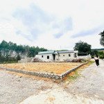 Duy nhất 1 lô siêu tiềm năng chỉ 199tr được ngay lô đất mặt tiền siêu rộng , sát mặt đường ql217b