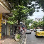 Bán gấp nhà mặt đường lương khánh thiện, 2 chiều ô tô, giá chỉ 17 tỷ!