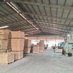 Cho thuê nhà xưởng 16000m2 giá chỉ 450 triệu