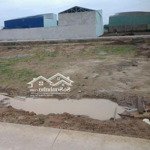 Bán đất tại đt 8, cần đước, long an, giá thương lượng, 145m2