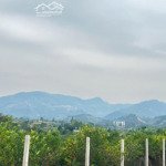 Bán 2127m có 200 đất ở. trên đất trồng full cam,bám đường bê tông to. giá nhỉnh 1 tỷ liên hệ: 0984952921