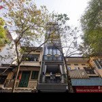 Bán nhà siêu vị trí 6 tầng mt ngay vòng xoay điện biên phủ quận 1 - (4x20m) - hđt: 146tr/th - 34 tỷ