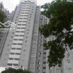 Chính chủ bán cc 2pn 58m2 tại tầng 8, ct3, bắc hà fodacon, 3,1 tỷ, hà đông, hn