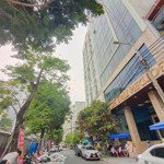 Bán lô đất đỗ bí, đấu lưng trần bạch đằng, cách biển chỉ 300m