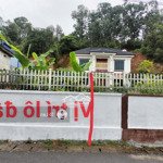 đất vùng ven giá rẻ tại thành phố thủy nguyên đường trải nhựa ápphan rộng 7m đèn cao áp sáng trưng