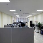 Bán toà văn phòng mặt phố vương thừa vũ 200m, 7t thang máy giá 55 tỷ.