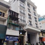 Siêu vip! duy nhất mảnh đất hàng trống còn sót lại 279m2*4t*mt8m, 1 sổ 1 chủ, tặng gpxd 9 tầng.
