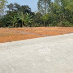 Bán đất tại đồng tĩnh, tam dương, vĩnh phúc, 260 triệu, 95m2, uy tín chỉ với 5.5m mặt tiền