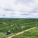 Lốc 22 lô thổ cư, đường nhựa 10m lộc quảng, giá f0 rẻ nhất khu vực, view thoáng đẹp