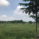 Cần bán đất ở sông xoài, phú mỹ, bà rịa - vũng tàu