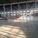 Chính chủ cần cho thuê gấp nhà xưởng được xây dựng tiêu chuẩn tại tân bình hồ chí minh