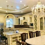 Biệt thự/villa phú mỹ hưng gần công viên cần giao dịch giá tốt 70 tỷ dt 252m2 hướng đông nam