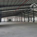 Bán xưởng 6000m2-10000m2 kcn châu đức, huyện châu đức, brvt