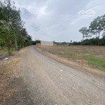 Bán 230.1m2 đất thổ cư xã phan, dương minh châu, tây ninh 268 triệu