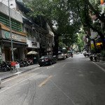 Bán nhà phố triệu việt vương hai bà trưng 50m2 7 tầng thang máy mặt tiền 12m nhà đẹp ở ngay 19.7 tỷ