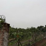 Cần bán đất sẵn cây sổ ruộng dt 3000m2, giá 3 tỷ 300 tại đại thành (hưng đạo) quốc oai, hà nội