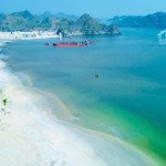 Xanh island sun cát bà booking ngay để nhận chiết khấu từ 3 - 5% mở bán đợt 1