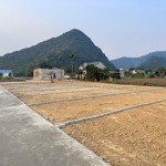 Hàng hiếm thanh hóa ngay đường quốc lộ 217b sang tên trong ngày chỉ nhỉnh 100 triệu/lô