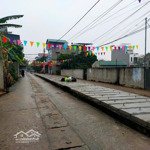 Bán đất thôn phượng nghĩa, phụng châu. giá rẻ chỉ 57tr/m2.