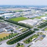 Bán gấp đất ngay kcn an linh, 11,28m x 30m thổ cư sr xdtd. ra chợ 500m, giá bán 610 triệu liên hệ: 0903263878