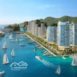 Giá cực sốc với khu nghỉ dưỡng crystal holidays harbour vân đồn 56-73-85m