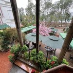 Lô góc mặt phố nguỵ như kontum 110m2 x4tầng vị trí vip kinh doanh mọi mô hình giá siêu mềm