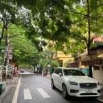 Bán nhà phố giang văn minh - kim mã, 360m2 x 4t. mt 12m. 96 tỷ, ô tô tránh, kinh doanh