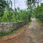 Chủ cần bán gấp trong tuần lô đất đẹp tại nhuận trạch - lương sơn, giá 5.x tr/m2