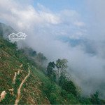 Bán 850m đất sổ đỏ chính chủ tại pà cò, hang kia mai châu hoà bình làm homestay