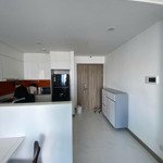 Cho thuê căn hộ cao cấp sunwah pearl 1pn 1wc full nội thất view trực diện bitexco diện tích 52.59m2