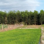 Bán 2050m2 đất sát khu dân cư, khu công nghiệp, ubnd xã xuân tâm - xuân lộc, đồng nai