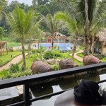 Bán khu homestay rộng 3638m2 tại vân hoà ba vì sổ đỏ thổ cư chỉ 18,8 tỷ
