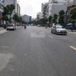 Chính chủ cần bán gấp căn nhà vị trí đẹp đường trần quốc hoàn, 87 nguyễn phong sắc, dịch vọng hậu, cầu giấy, hà nội diện tích 55 m2, mặt tiền 5 m,