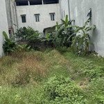 Chính chủ cắt lỗ ra hàng lô đất 100m2 siêu đẹp: đất dự án giãn dân nông trường tam thiên mẫu