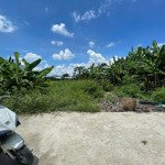 Chủ nhà kẹt tiền cần bán gấp lô đất 225m2 tân phú trung, củ chi. shr