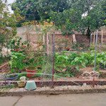 Lô đất đẹp giá rẻ cần tìm nhà đầu tư tại na son hồng kỳ sóc sơn hà nội
