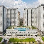 Cho thuê nhiều căn hộ tại lexington (văn phòng 8 triệu) ( 1 phòng ngủ- 11 triệu)