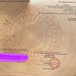 đấu giá đại tài cũ còn duy nhất một lô góc nở hậu trục chính đường đh 20