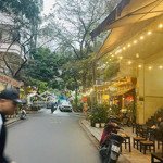 Nguyên hồng, đống đa vip - ngõ to hơn phố - ô tô tránh - vỉa hè - kd đỉnh - phố cafe